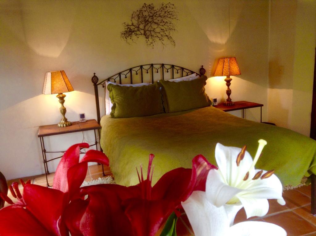 Hotel Secreto Pozos  객실 사진