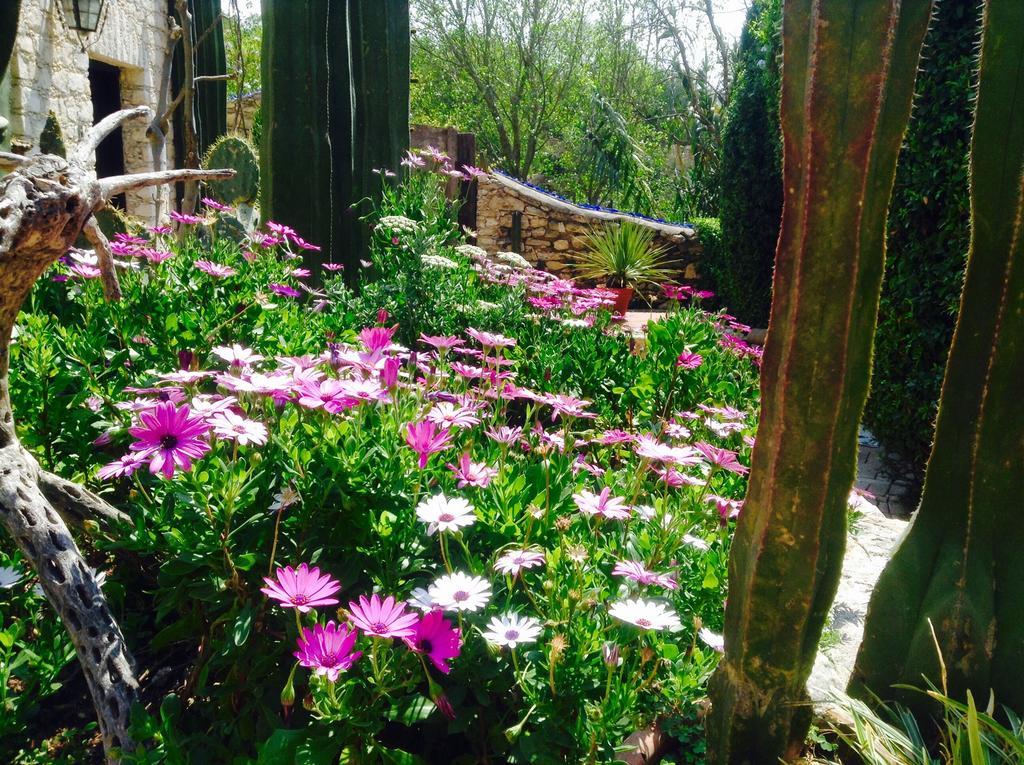 Hotel Secreto Pozos  외부 사진